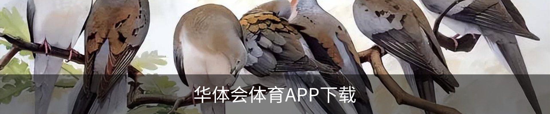 华体会体育APP下载